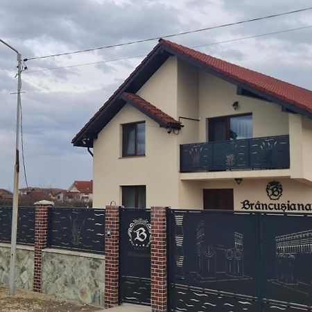 Casa Brancusiana Lägenhet Târgu Jiu Exteriör bild