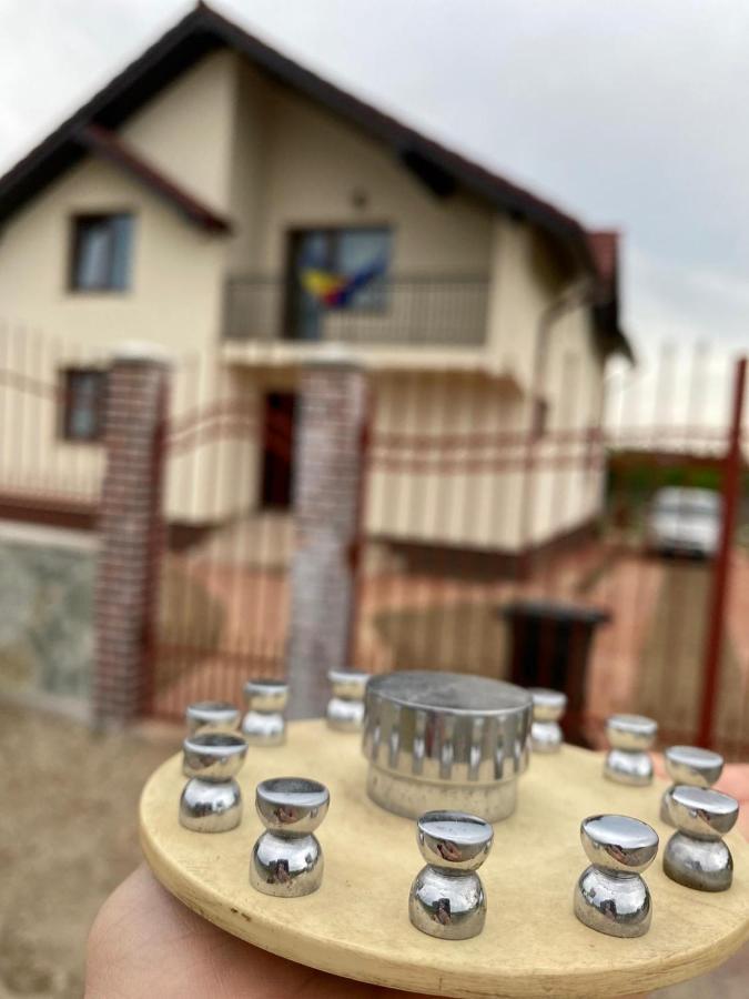 Casa Brancusiana Lägenhet Târgu Jiu Exteriör bild