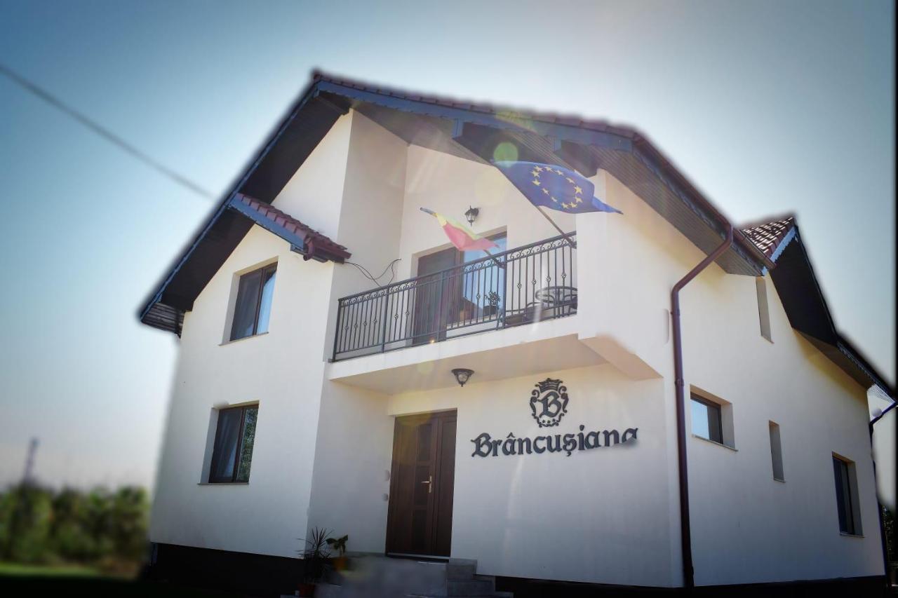 Casa Brancusiana Lägenhet Târgu Jiu Exteriör bild